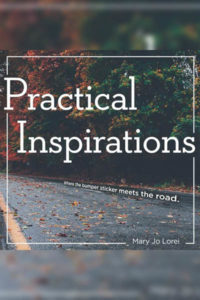 AL Mary Jo Lorei | Practical Inspirations